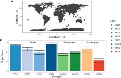 Influence of the phytoplankton community composition on the in situ fluorescence signal: Implication for an improved estimation of the chlorophyll-a concentration from BioGeoChemical-Argo profiling floats